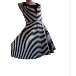 Forever 21 ~ Black & White Striped Mesh A-Line Mini Dress (L)